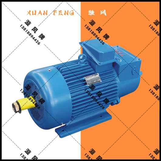 卷?yè)P(yáng)機(jī)電機(jī)